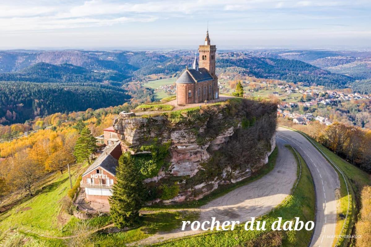 Le Nid Du Calice Vila Abreschviller Exterior foto